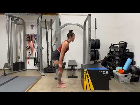 Dumbbell Hang Clean to Box Step Demo