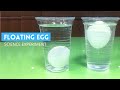Floating Egg Experiment | Why Eggs Float in Salt Water | The Egg and Salt Experiment |