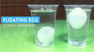 Floating Egg Experiment | Why Eggs Float in Salt Water | The Egg and Salt Experiment | screenshot 2