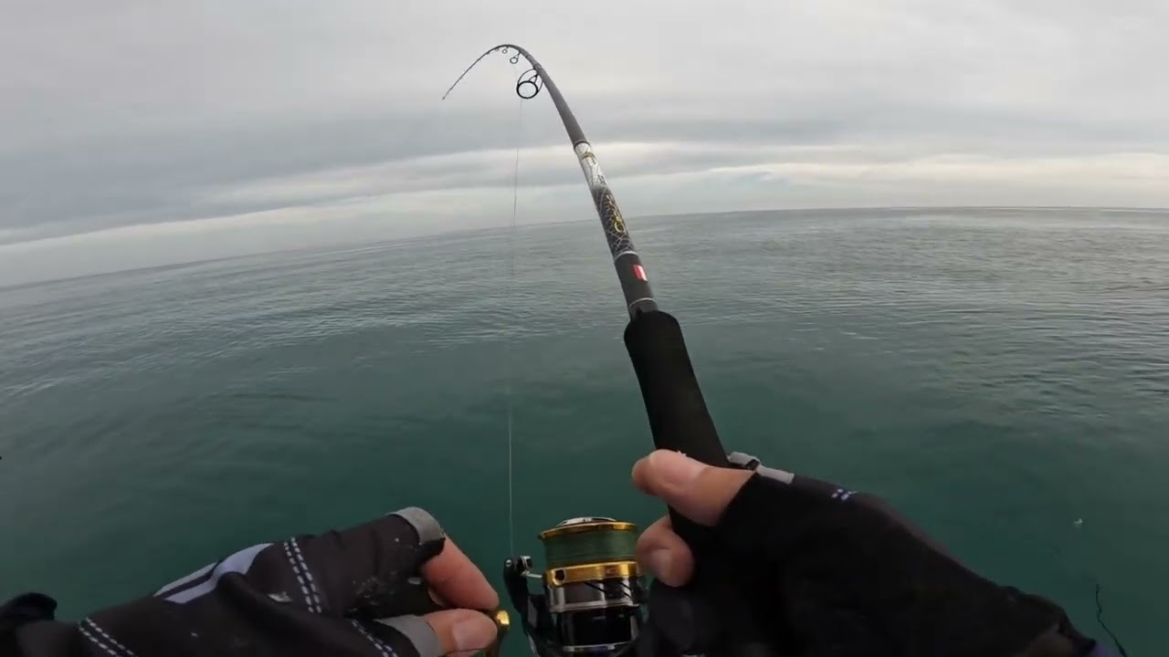 GT first fight. full video