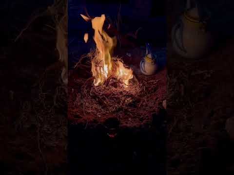يا صاحبي ظني ل هلحين ما خاب اكسبلور تصويري لايك اكسبلور 