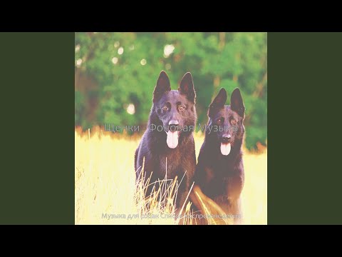 Музыка для собак Список воспроизведения - Звуки (Собаки)