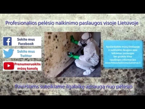 Video: Klasikiniai 8 Bitų Izometriniai žaidimai, Kuriais Buvo Bandoma Sulaužyti Pelėsį