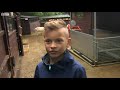 Goats love happy humans - BBC London