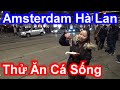 Amsterdam by night  th thch n c sng ti th  amsterdam h lan  sarah nguyen