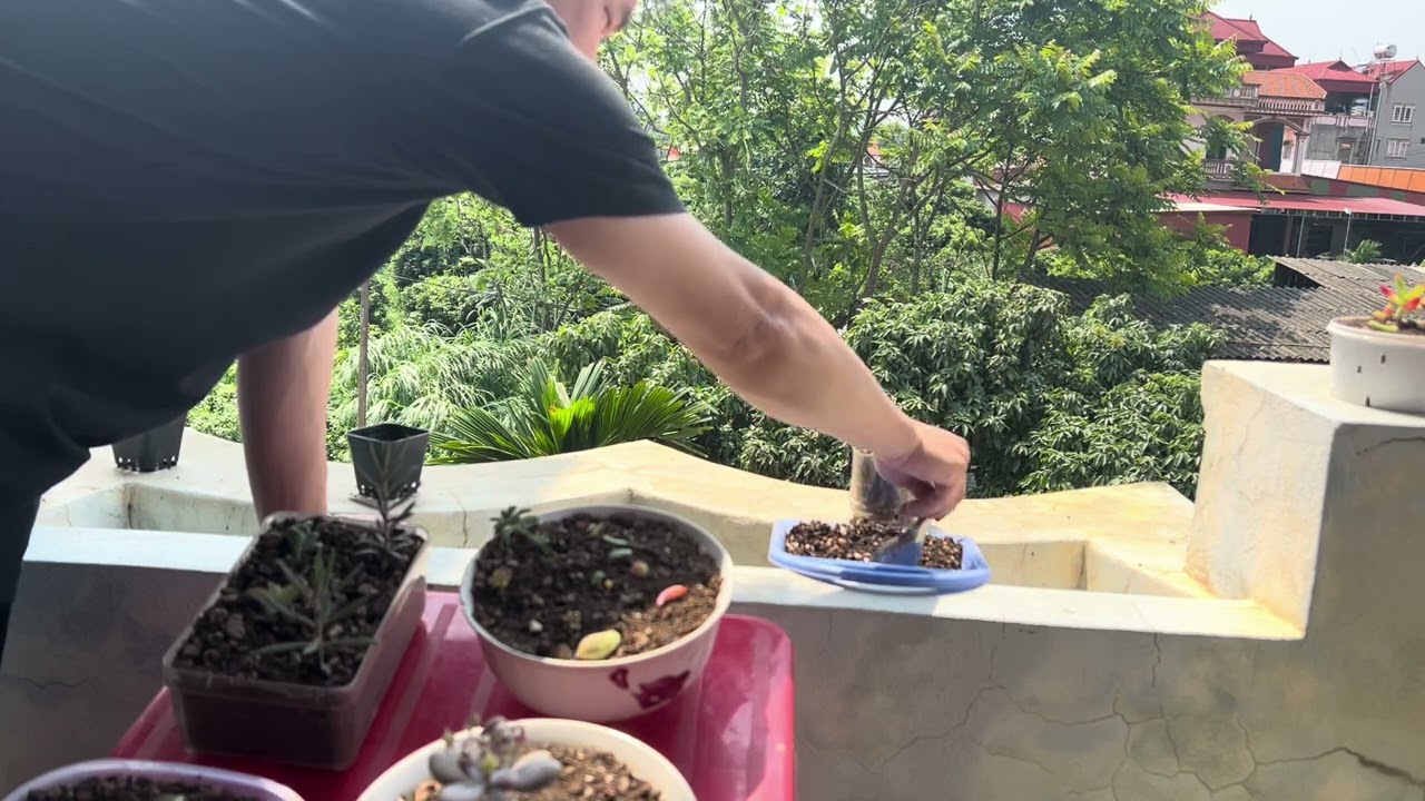 Riding in Crosswind Conditions: Techniques for Stability