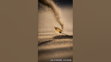 “A Seed of Hope in the Desert” #ai #animation #hindimoonanimation ##aiviralshorts #trendingshorts