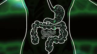 GI ProBalance®  Build Balance for Your Gut Bacteria
