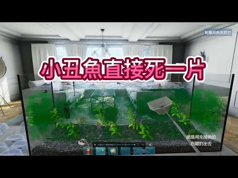 【薄荷貓】 魚直接死一片，水族箱直接變災難現場《Aquarist Demo版》