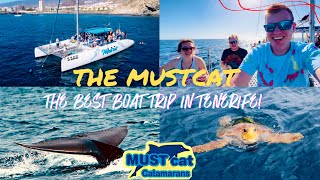 Mustcat Catamaran BEST boat trip in Tenerife! Fin Whales, Dolphins, Turtles & More!