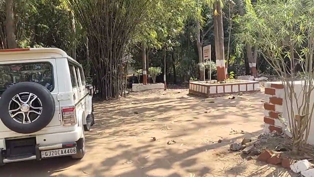 Ratanmahal નળધા કેમ્પ સાઈટ પ્રવાસનું આકર્ષણનું કેન્દ્ર રહેવા માટે ઉત્તમ સ્થળ જુઓ 