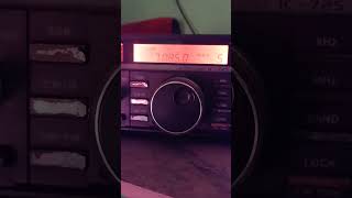 hamradio HF net Wealth