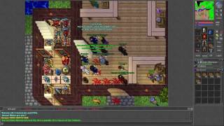 Tibia [7.3] War on Aurea