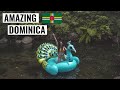 Beautiful DOMINICA, Nature Island | Banana Lama Travel Vlog