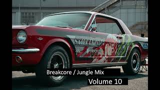Jungle / Chill Breakcore Mix to Disassociate to While Cruising