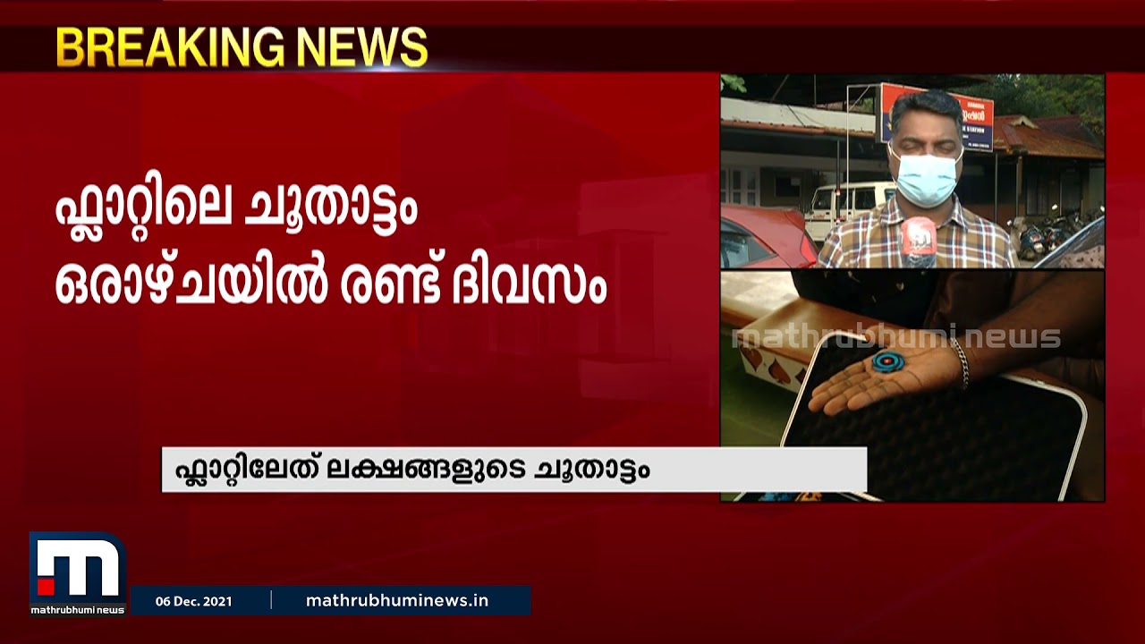 കൊച്ചിയിലെ ഫ്ലാറ്റ് കേന്ദ്രീകരിച്ച് ചൂതാട്ടം; ഓരോ കളിയിലും നടന്നത് ലക്ഷങ്ങളുടെ ഇടപാട്
