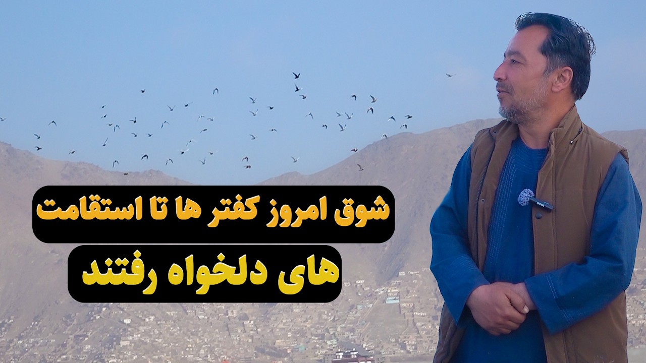 0459 / شوق امروز کفتر ها تا استقامت های دلخواه رفتند/Afghan Shawqi