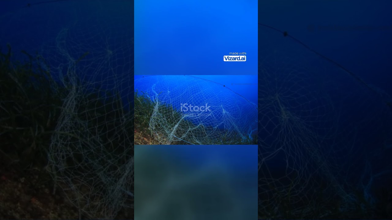 How Plastic Harms Coral Reefs! 