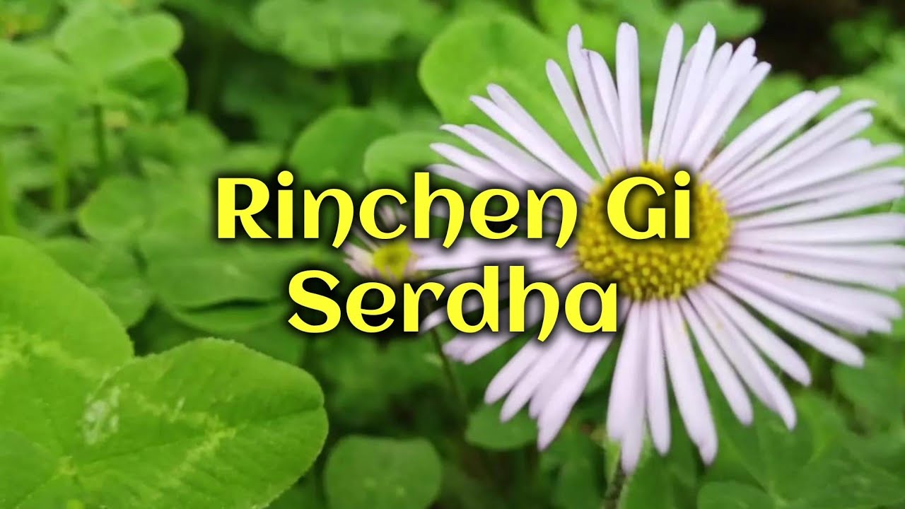 Rinchen Ghi serdha || Vocal off Karaoke || Namgay Jiggs|| Bhutanese song