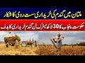 Punjab Sets 3 Million Metric Ton Wheat Procurement Target, Buying Slows in Multan | News Update