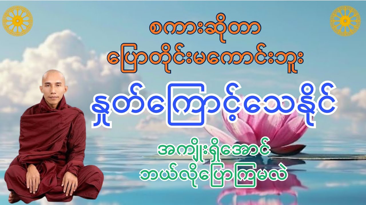 စကားတို့၏အစွမ်း | သစ္စာရွှေစည်ဆရာတော်