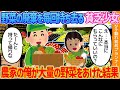【2ch馴れ初め】野菜の廃棄を毎回持ち去る貧乏少女→農家の俺が大量の野菜をあげた結果【ゆっくり解説】