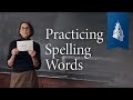 Phonics Curriculum and Spelling Strategies Quiz