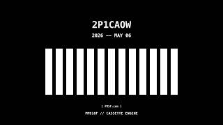 PM918F 2P1CAOW 1778113504950