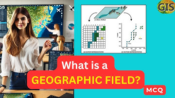 What is a GEOGRAPHIC FIELD? | Geographic fields in GIS