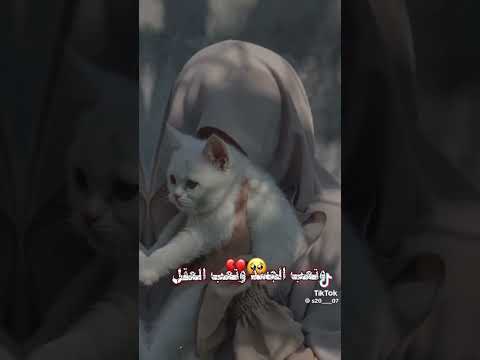 يارب عبدك ضعيف متعب يا الله حالات واتس اب دينيه 