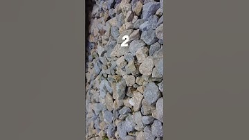 Camouflage Grasshopper gets direct, unintentional boulder strike just as it is jumping-looks fine😎