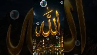Islamic dpz collection ❤️ || Allah Muhammad name dp images for WhatsApp #allah #love