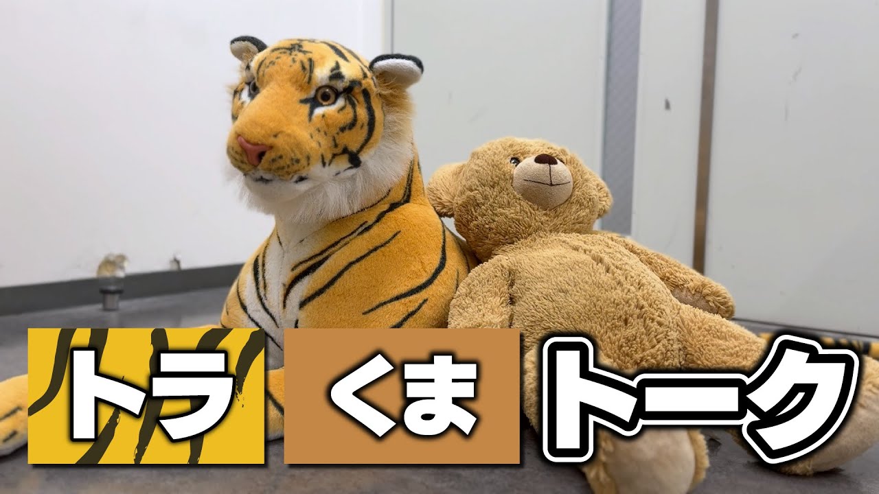 トラくまトーク