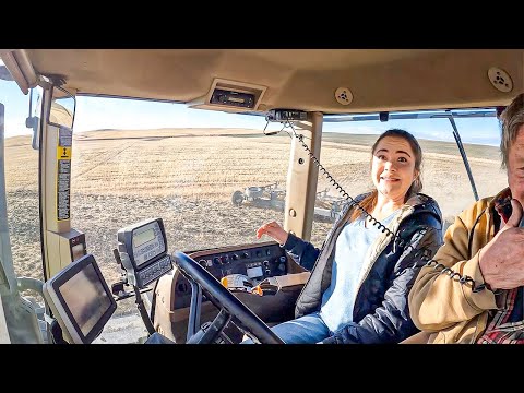 Video: Okuchnik aizmugures traktoram: pielietojums un veidi