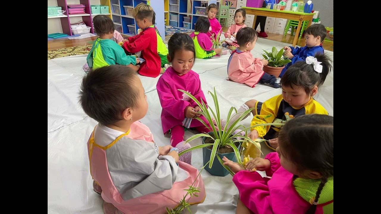 Байгаль, Нийгийм орчин Дунд Б бүлэг 2026 он 