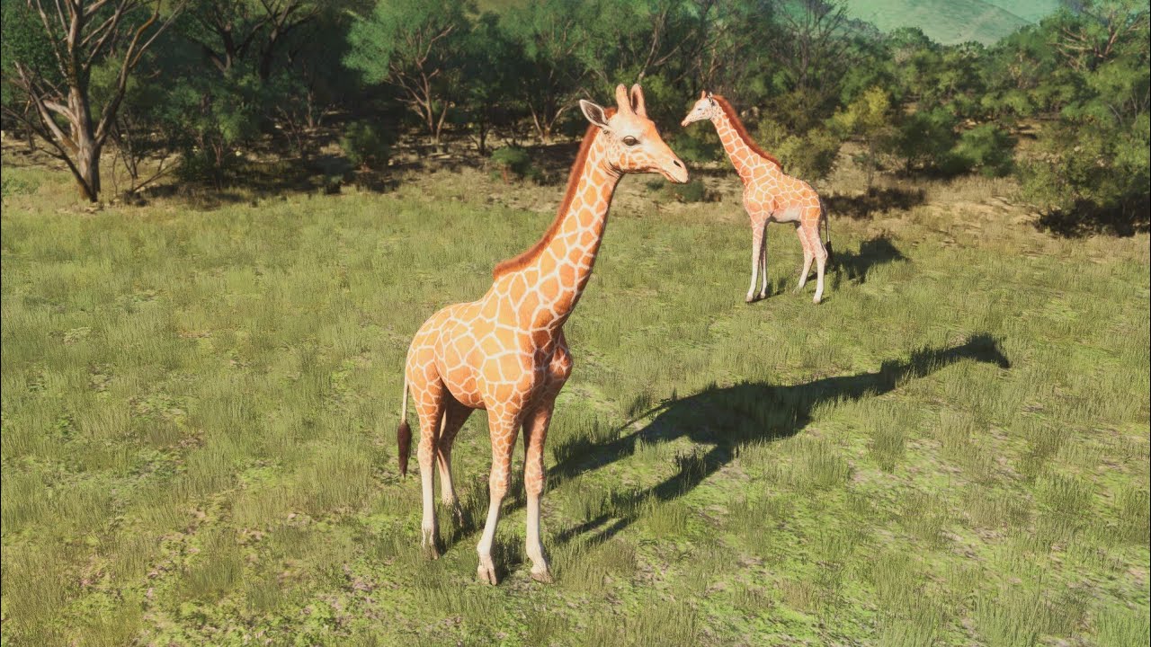 【MSFS2024】世界の写真家:サバンナ サファリ　アフリカサバンナゾウ探し🚁