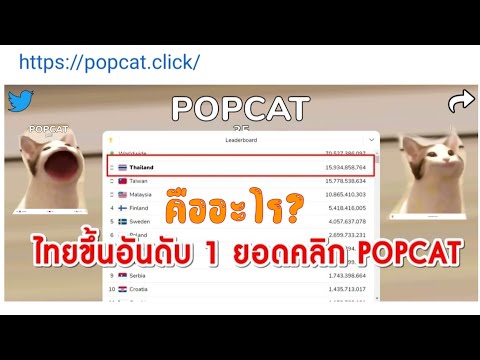 What is popcat?