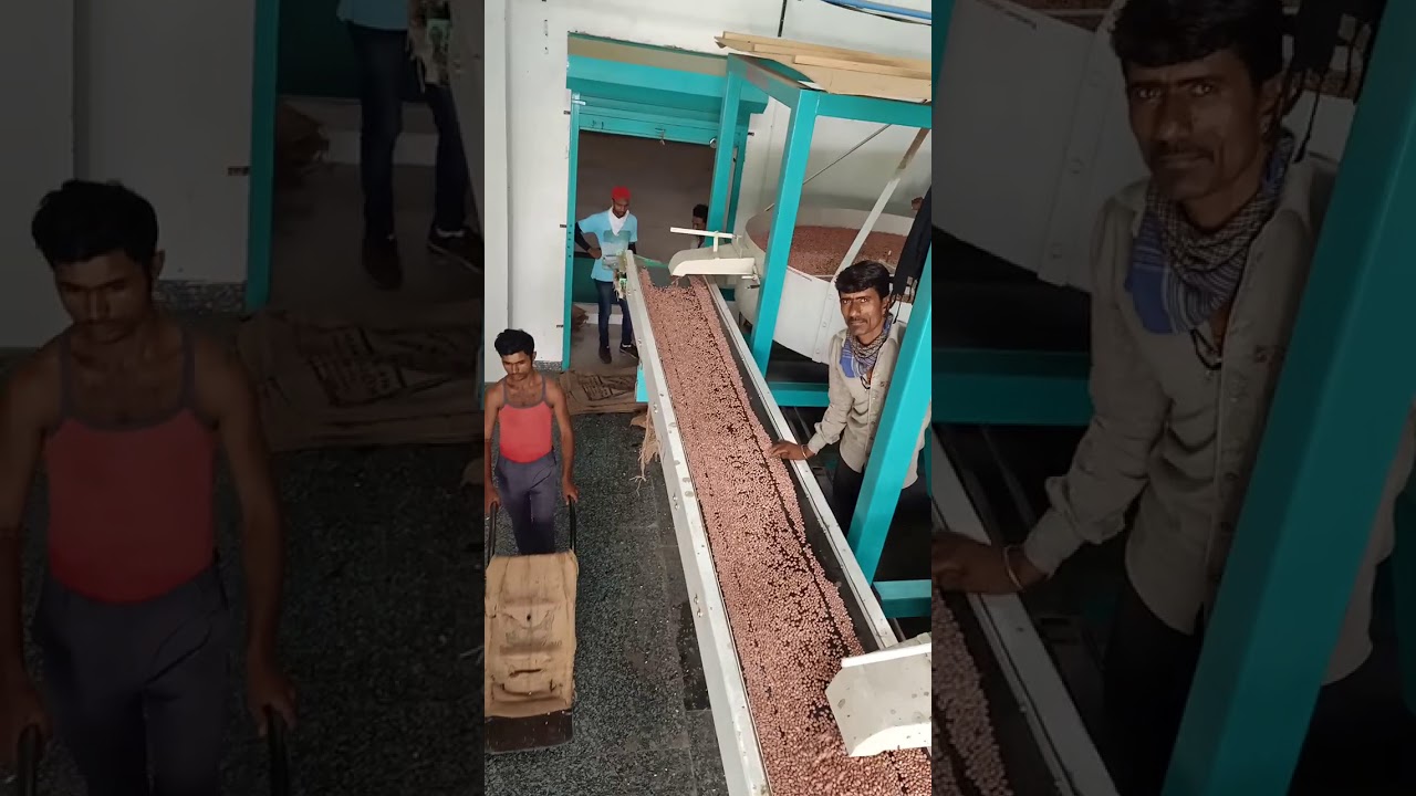 Peanut selling plant mumphali plant groundnut machine groundnut processing plant decoraticator