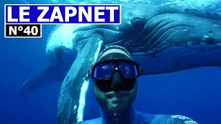 Zapnet - Le Zapping Du Web N40