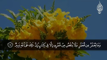 اسلام صبحي سورة فاطر كاملة صوت جميل وهادئ تلاوه تريح القلب ❤ و العقل   | surat fater islam sobhi
