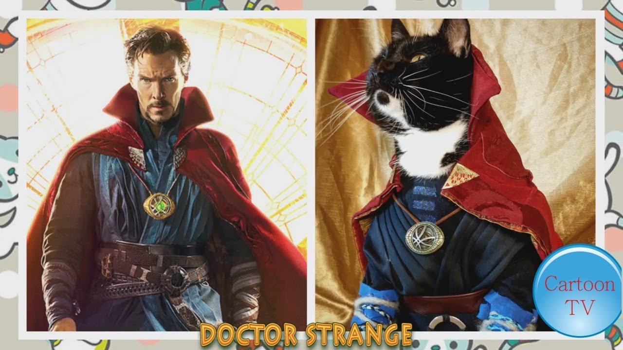 Famous Characters in Real Life Cats