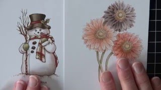 Copic Marker Earth Tones - Explained!