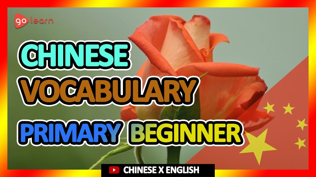 Learn Chinese |Part 4: Chinese Vocabulary Primary beginner | Golearn ...