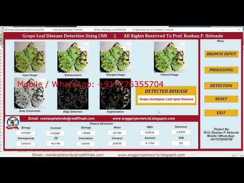 Grape Leaf Disease Detection Using CNN With Source Code Grape Plant Disease Detection Matlab Project