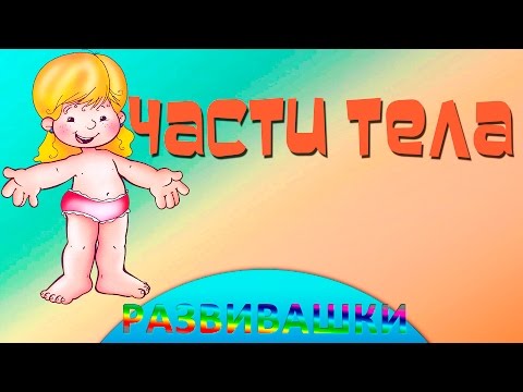 Части тела английский мультфильм