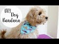 How To Make A Dog Bandana Over The Collar