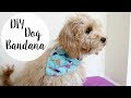 How To Make A Dog Bandana Out Of A Bandana