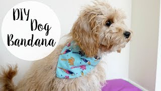 DIY Dog Bandana  No Sew