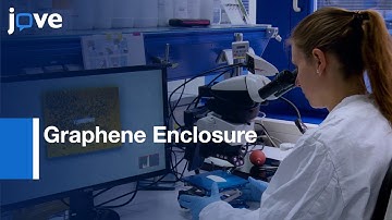 Chemically Fixed Mammalian Cells For Liquid-Phase Electron Microscopy l Protocol Preview