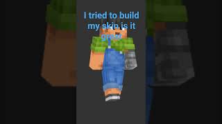 I built my profile in Minecraft (sunny)
